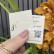 MINI Cartões Hotstamping